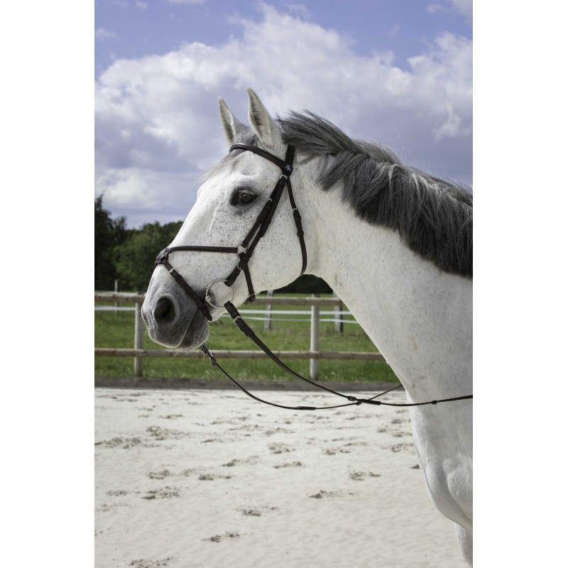 riding-world-muserolle-croisee-bridle