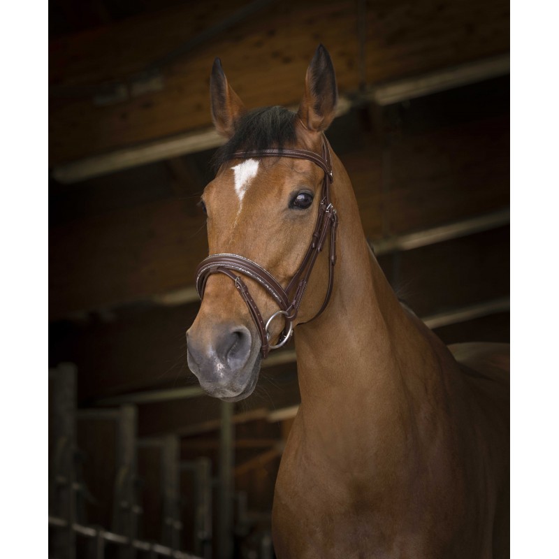 norton-pro-rock-bridle (3)